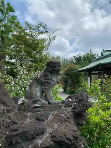 鷺宮八幡神社の狛犬