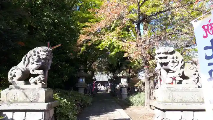 神炊館神社 ⁂奥州須賀川総鎮守⁂の狛犬