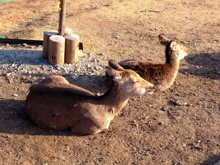 養食山 常泉寺(神奈川県)