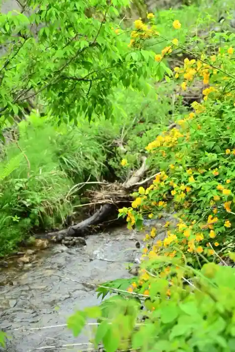 竹之高地不動社(新潟県)