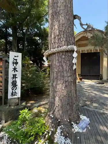 菟橋神社(石川県)