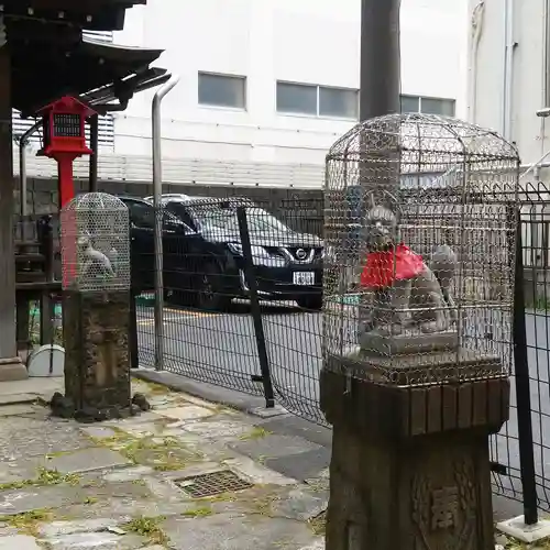 雷電稲荷神社の狛犬