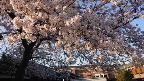 金神社（西町）の周辺