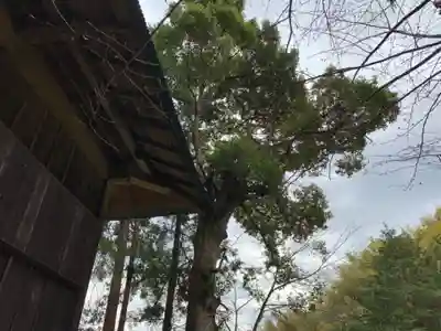 熊野神社のその他建物