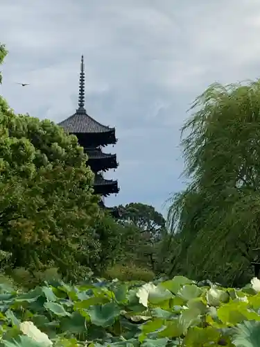 東寺（教王護国寺）の塔