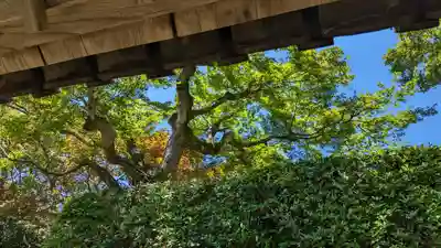 法蔵禅寺(京都府)