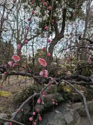 城南宮(京都府)
