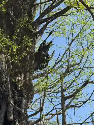 飛木稲荷神社の{uncategorized: "未分類", other: "その他", undefined: "問題あり", building: "その他建物", grave: "お墓", sacred_gate: "鳥居", guardian: "狛犬", statue: "像", buddha: "仏像", history: "歴史", nature: "自然", garden: "庭園", animal: "動物", pagoda: "塔", temizu: "手水舎", mountain_gate: "山門・神門", sanctuary: "本殿・本堂", subordinate: "末社・摂社", art: "芸術", scenery: "景色", jizo: "地蔵", ema: "絵馬", goshuin: "御朱印", omikuji: "おみくじ", items: "授与品その他", amulet: "お守り", goshuincho: "御朱印帳", eats: "食事", festival: "お祭り", votive_dance: "神楽", shichigosan: "七五三参", wedding: "結婚式", experience: "体験その他", initially: "初詣", around: "周辺", anti_infection: "感染症対策"}