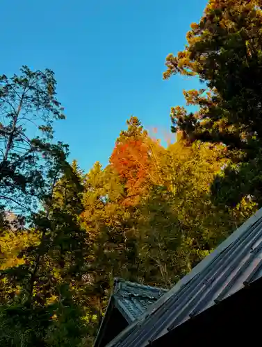 蚊里田八幡宮(長野県)