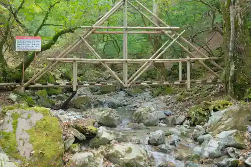 弥山神社（天河大辨財天社奥宮）の自然