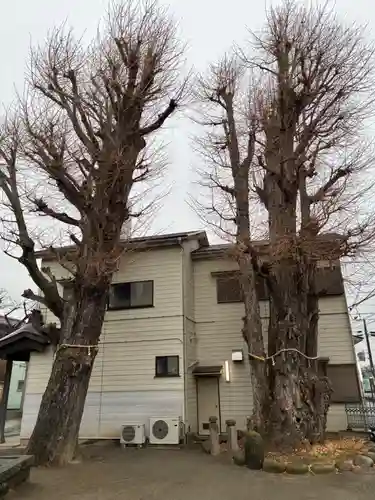 香取神社(千葉県)