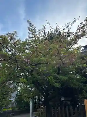 三田春日神社の自然