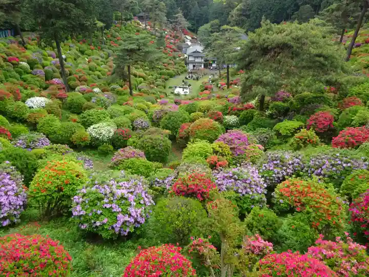 塩船観音寺の自然