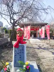 永平寺別院長谷寺(東京都)