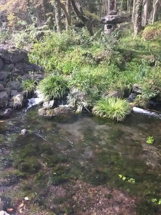 富士山本宮浅間大社(静岡県)