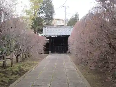 鳳生寺(東京都)