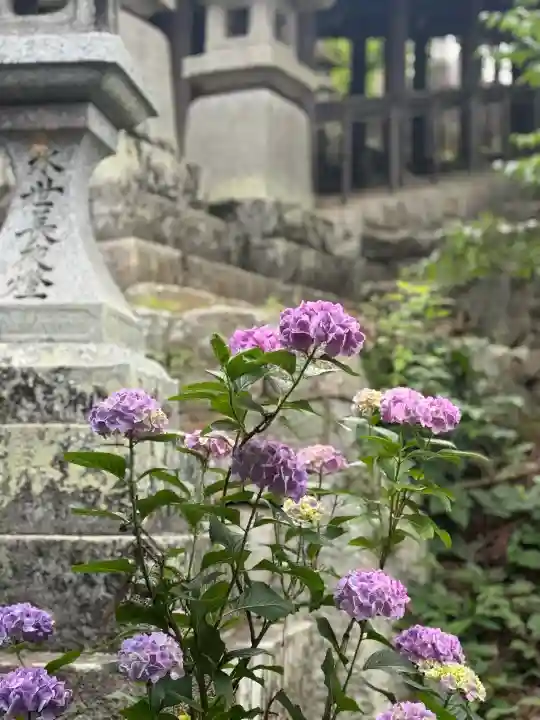 長谷寺(奈良県)
