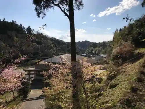 山神社の自然