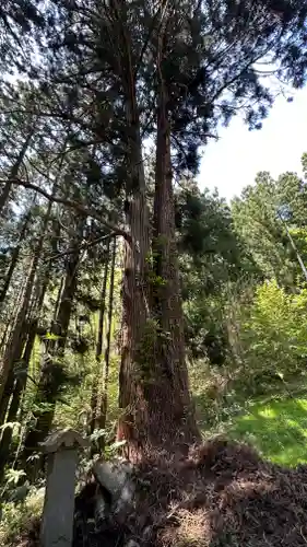 朝日山　相応院　置賜二十七番札所(山形県)