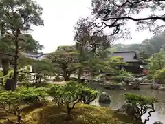 慈照寺（慈照禅寺・銀閣寺）の庭園