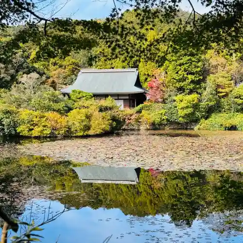 龍安寺(京都府)