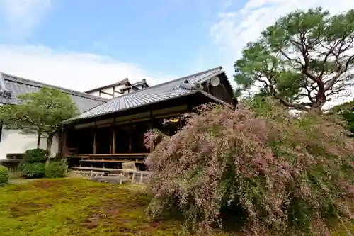 青蓮院門跡の本殿・本堂