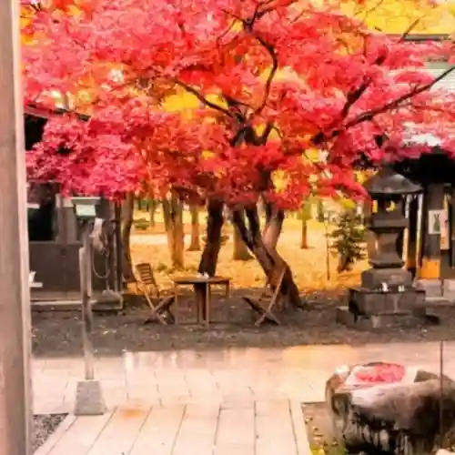 彌彦神社　(伊夜日子神社)の庭園
