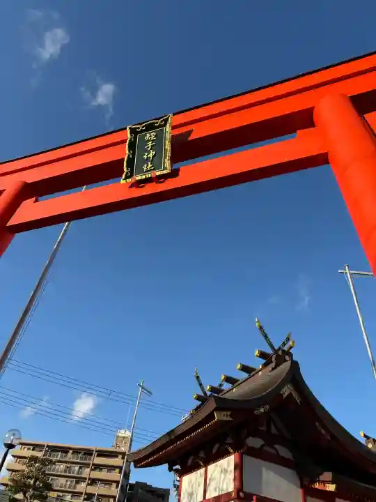 柳原蛭子神社(柳原えびす神社)の{uncategorized: "未分類", other: "その他", undefined: "問題あり", building: "その他建物", grave: "お墓", sacred_gate: "鳥居", guardian: "狛犬", statue: "像", buddha: "仏像", history: "歴史", nature: "自然", garden: "庭園", animal: "動物", pagoda: "塔", temizu: "手水舎", mountain_gate: "山門・神門", sanctuary: "本殿・本堂", subordinate: "末社・摂社", art: "芸術", scenery: "景色", jizo: "地蔵", ema: "絵馬", goshuin: "御朱印", omikuji: "おみくじ", items: "授与品その他", amulet: "お守り", goshuincho: "御朱印帳", eats: "食事", festival: "お祭り", votive_dance: "神楽", shichigosan: "七五三参", wedding: "結婚式", experience: "体験その他", initially: "初詣", around: "周辺", anti_infection: "感染症対策"}