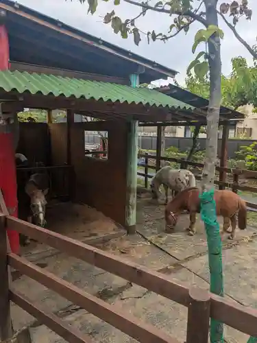 五方山熊野神社(東京都)