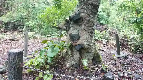 蓮着寺(静岡県)