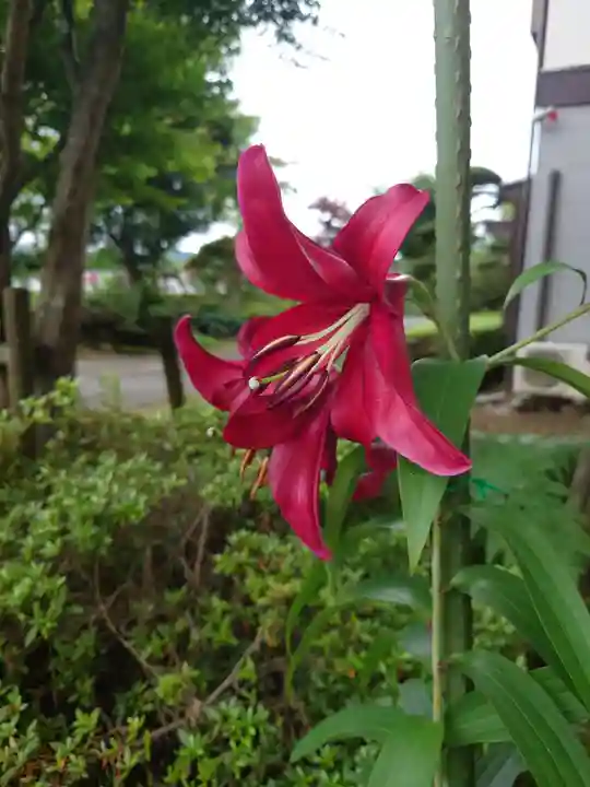 山中浅間神社(山梨県)