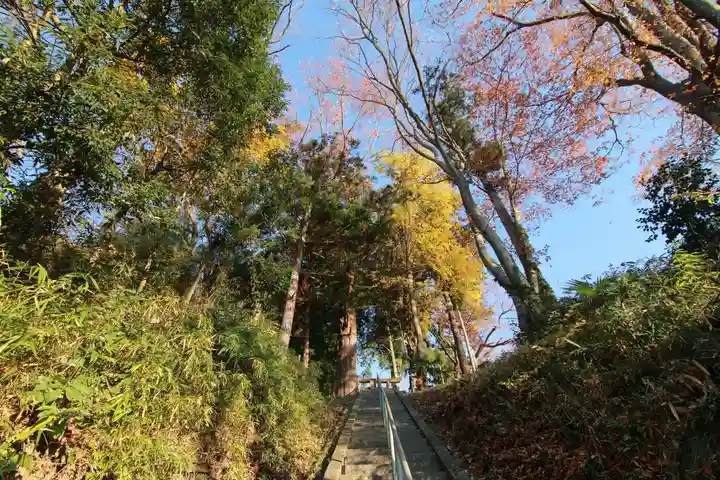 阿久津「田村神社」(郡山市阿久津町)旧社名:伊豆箱根三嶋三社の景色