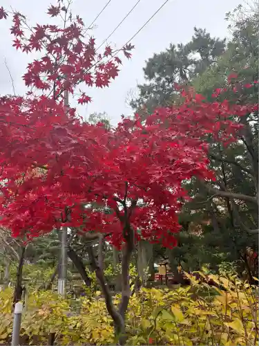 白山神社(新潟県)