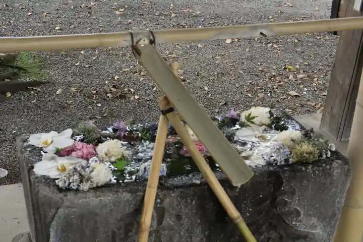 相模原氷川神社(神奈川県)