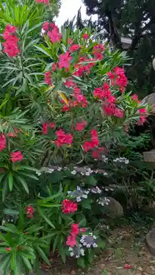 和光寺(大阪府)