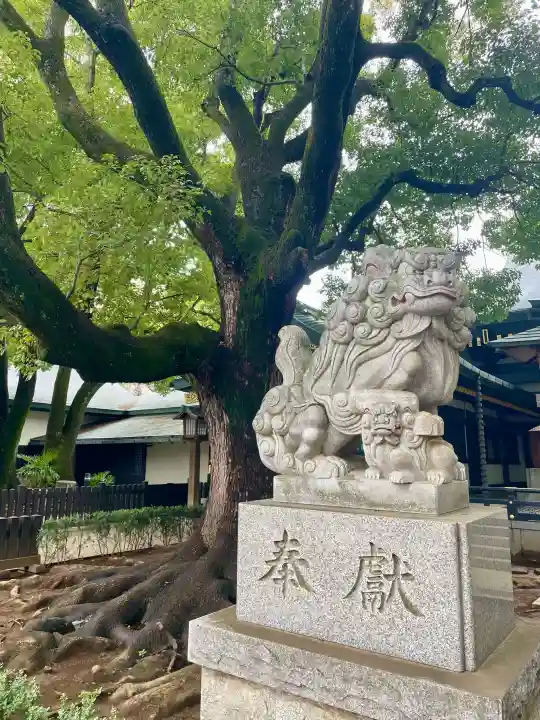 穴八幡宮の{uncategorized: "未分類", other: "その他", undefined: "問題あり", building: "その他建物", grave: "お墓", sacred_gate: "鳥居", guardian: "狛犬", statue: "像", buddha: "仏像", history: "歴史", nature: "自然", garden: "庭園", animal: "動物", pagoda: "塔", temizu: "手水舎", mountain_gate: "山門・神門", sanctuary: "本殿・本堂", subordinate: "末社・摂社", art: "芸術", scenery: "景色", jizo: "地蔵", ema: "絵馬", goshuin: "御朱印", omikuji: "おみくじ", items: "授与品その他", amulet: "お守り", goshuincho: "御朱印帳", eats: "食事", festival: "お祭り", votive_dance: "神楽", shichigosan: "七五三参", wedding: "結婚式", experience: "体験その他", initially: "初詣", around: "周辺", anti_infection: "感染症対策"}