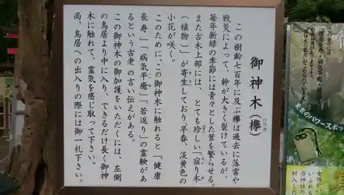 新田神社の歴史