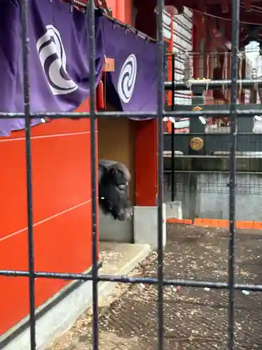 神田神社（神田明神）(東京都)
