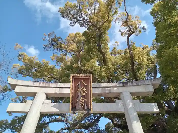 百舌鳥八幡宮(大阪府)