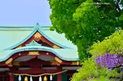 亀戸天神社(東京都)