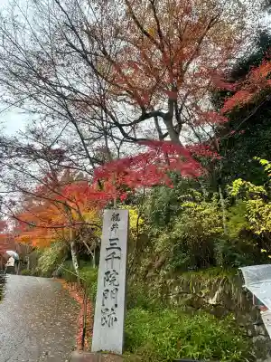三千院門跡の{uncategorized: "未分類", other: "その他", undefined: "問題あり", building: "その他建物", grave: "お墓", sacred_gate: "鳥居", guardian: "狛犬", statue: "像", buddha: "仏像", history: "歴史", nature: "自然", garden: "庭園", animal: "動物", pagoda: "塔", temizu: "手水舎", mountain_gate: "山門・神門", sanctuary: "本殿・本堂", subordinate: "末社・摂社", art: "芸術", scenery: "景色", jizo: "地蔵", ema: "絵馬", goshuin: "御朱印", omikuji: "おみくじ", items: "授与品その他", amulet: "お守り", goshuincho: "御朱印帳", eats: "食事", festival: "お祭り", votive_dance: "神楽", shichigosan: "七五三参", wedding: "結婚式", experience: "体験その他", initially: "初詣", around: "周辺", anti_infection: "感染症対策"}