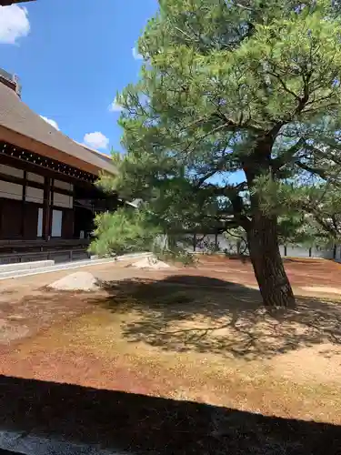 妙心寺（妙心禅寺）の本殿・本堂