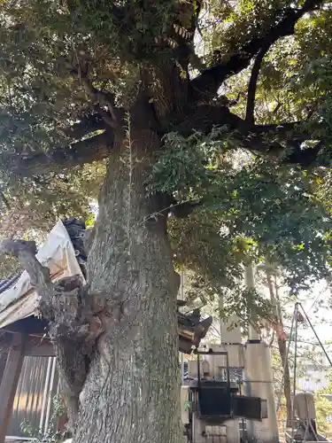 万福寺(愛知県)