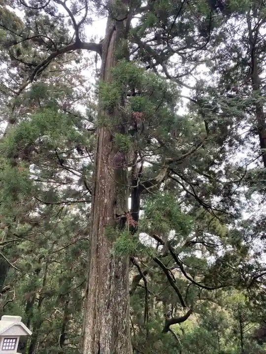 秋葉山本宮 秋葉神社 上社(静岡県)