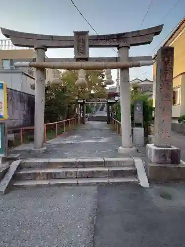 開運稲荷神社の鳥居