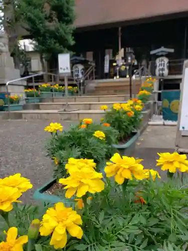 高円寺氷川神社の庭園