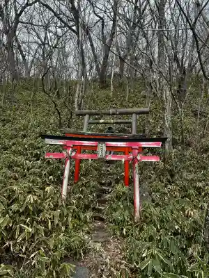 赤城稲荷大神の{uncategorized: "未分類", other: "その他", undefined: "問題あり", building: "その他建物", grave: "お墓", sacred_gate: "鳥居", guardian: "狛犬", statue: "像", buddha: "仏像", history: "歴史", nature: "自然", garden: "庭園", animal: "動物", pagoda: "塔", temizu: "手水舎", mountain_gate: "山門・神門", sanctuary: "本殿・本堂", subordinate: "末社・摂社", art: "芸術", scenery: "景色", jizo: "地蔵", ema: "絵馬", goshuin: "御朱印", omikuji: "おみくじ", items: "授与品その他", amulet: "お守り", goshuincho: "御朱印帳", eats: "食事", festival: "お祭り", votive_dance: "神楽", shichigosan: "七五三参", wedding: "結婚式", experience: "体験その他", initially: "初詣", around: "周辺", anti_infection: "感染症対策"}