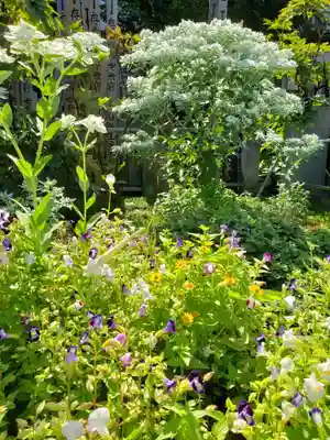 大円寺(東京都)