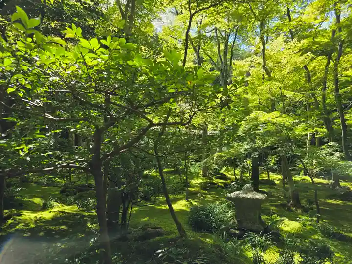 祇王寺(京都府)