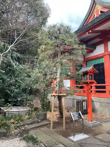 芝東照宮の自然